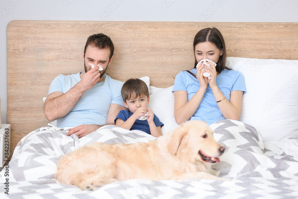 Family ill with flu in bed at home Family ill with flu in bed at home