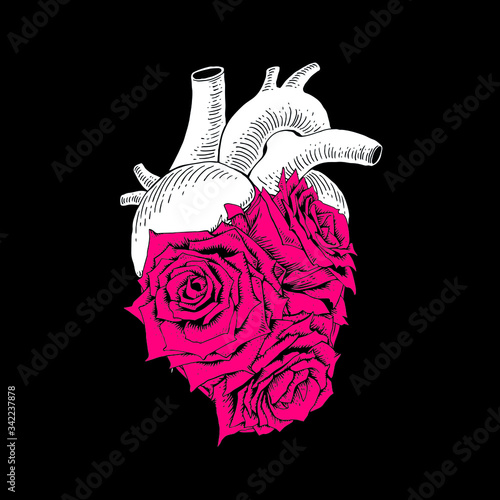 Human heart with red roses illustration. Details vintage vector icon isolated on white background. Tattoo style. Valentine’s Day print.