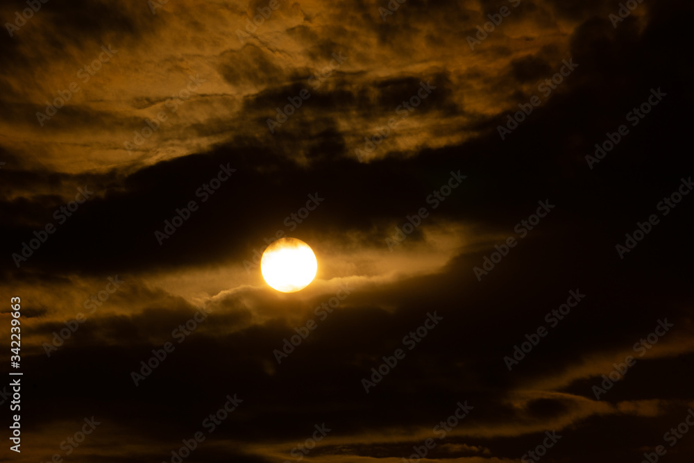 This all photos is clicked by digital camera or its natural photos not edited in any application.
all photos is clicked in evening after rain stop. This all photos is clicked by digital camera or its natural photos not edited in any application.
all photos is clicked in evening after rain stop.