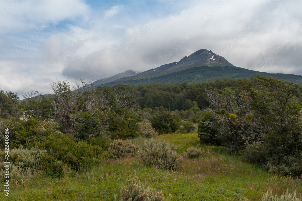 Wild nature in Tierra del Fuego National Park, Argentina