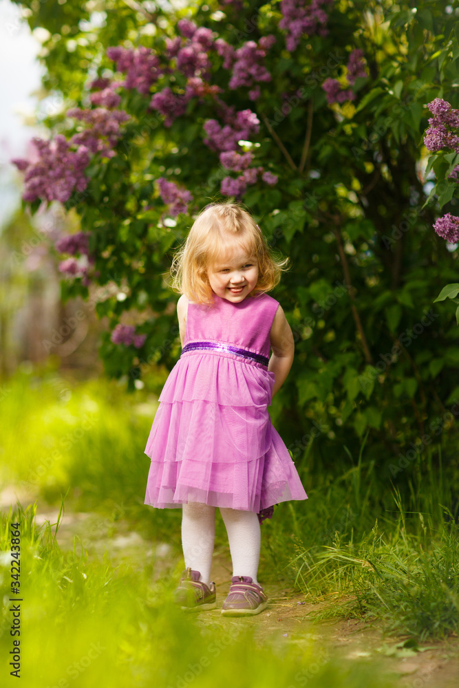 funny little girl near bush of lilac with bouquet funny little girl near bush of lilac with bouquet