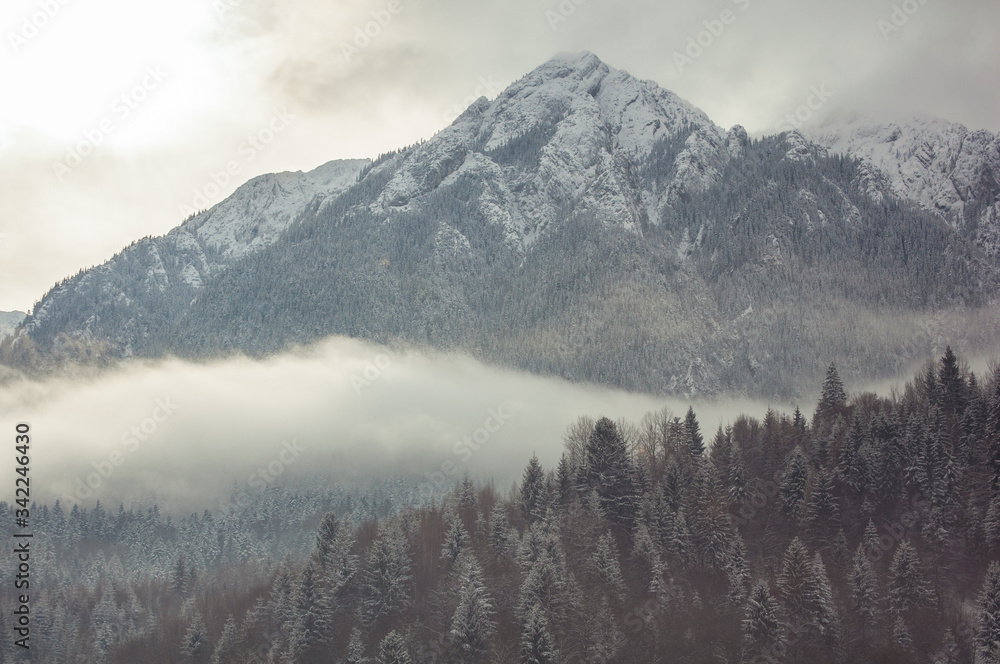 Frozen mountain peak before storm, Piatra Craiului, Zarnesti.