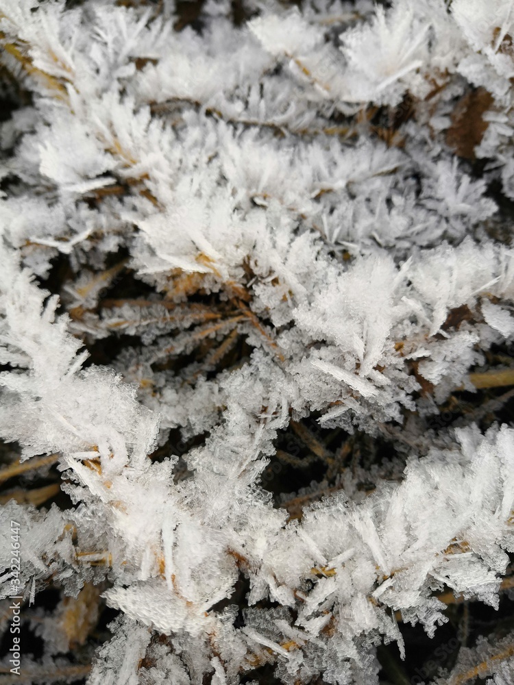 frost on the window frost on the window