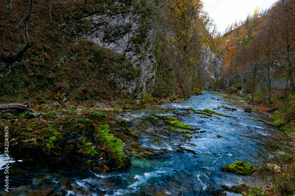 the river in the mountain forest at the end of autumn the river in the mountain forest at the end of autumn