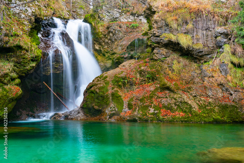 fallen tree trunk in the green lake and waterfall