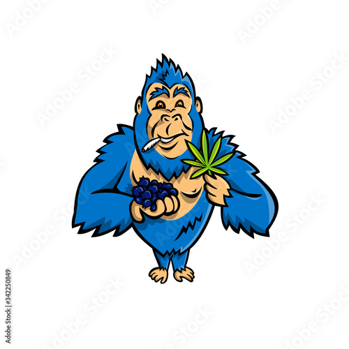 Mascot icon illustration of a blue gorilla holding a bunch of blueberry on one hand and cannabis leaf on other while smoking a joint standing from front on isolated background in cartoon style.