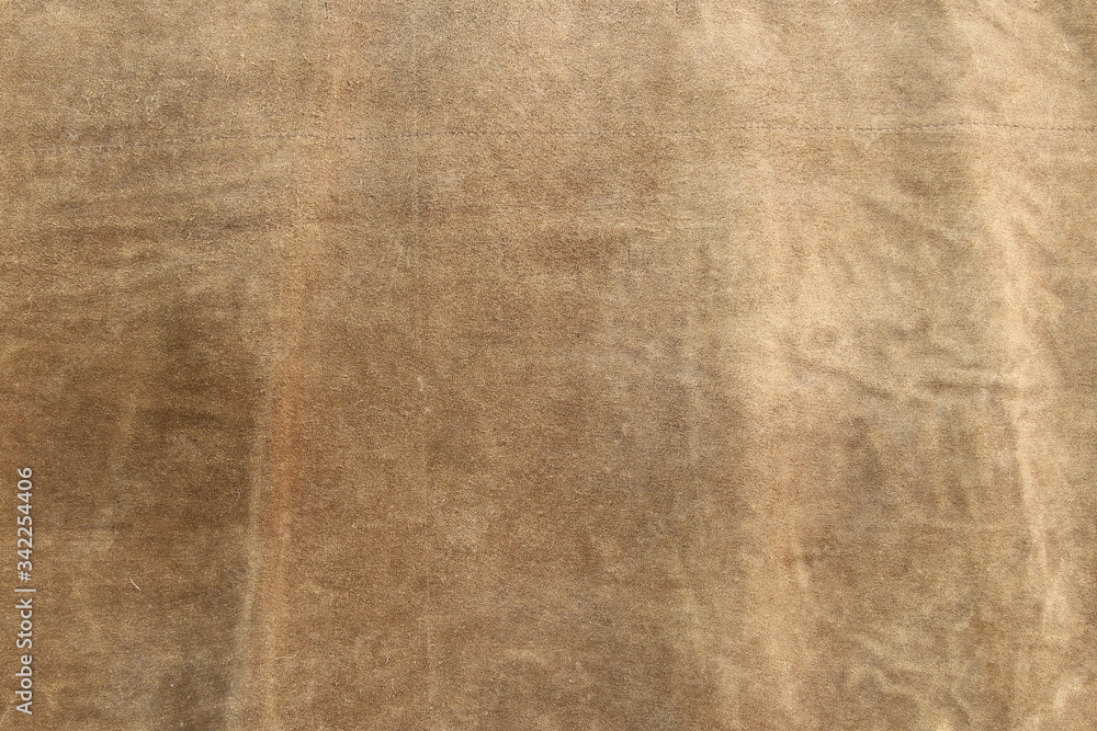 Fototapeta premium Brown genuine leather texture closeup. Background for text design.