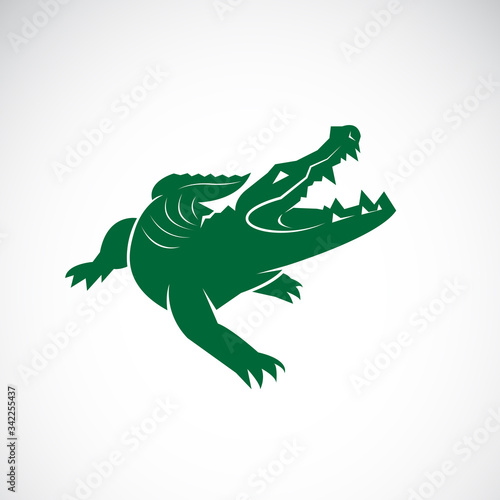 Vector of crocodile design on white background. Wild Animals. Reptile. Easy editable layered vector illustration.