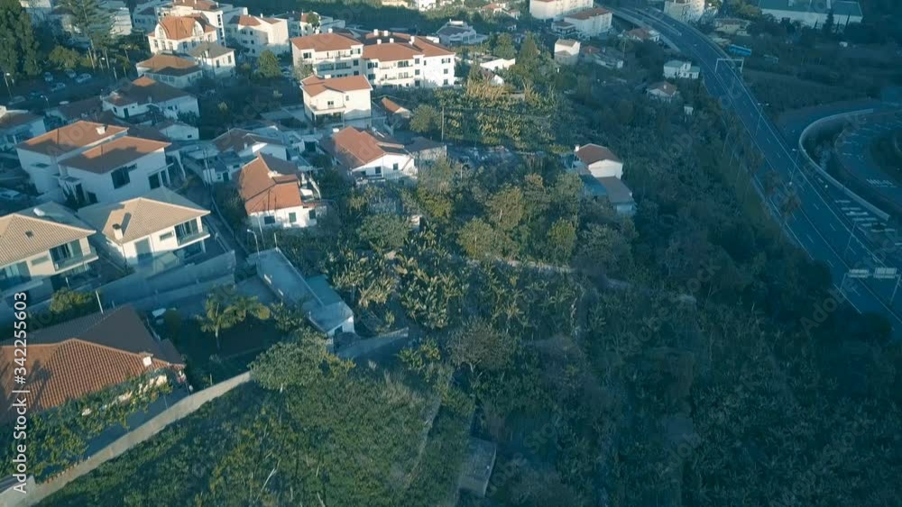 Aerial tilt up reveal from lush greenery to city center of Funchal, Madeira Aerial tilt up reveal from lush greenery to city center of Funchal, Madeira