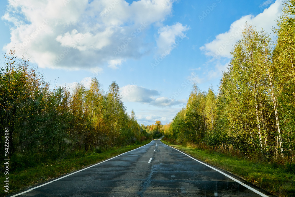 Fototapeta premium Road and landscape with yellow forest, tees, and blue sky with white clouds in an autumn day