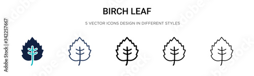 Birch leaf icon in filled, thin line, outline and stroke style. Vector illustration of two colored and black birch leaf vector icons designs can be used for mobile, ui, web