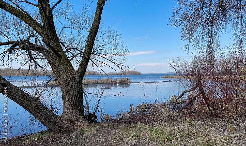 peaceful lake harbor with ducks geese birds peaceful lake harbor with ducks geese birds