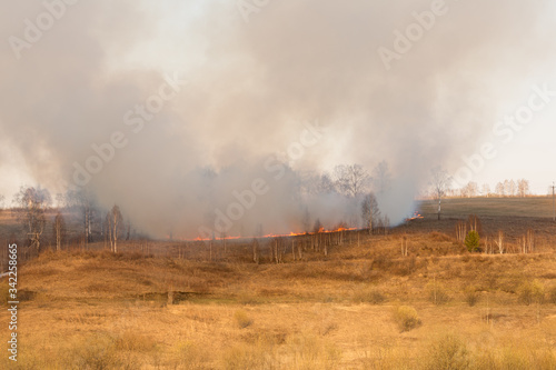 Forest fire burning, Wildfire close up at day time