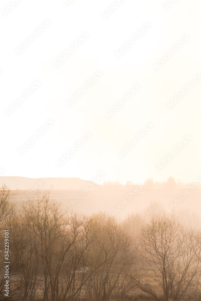 Forest fire burning, Wildfire close up at day time Forest fire burning, Wildfire close up at day time