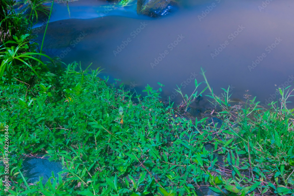 Fototapeta premium river flow there and there is green grass
