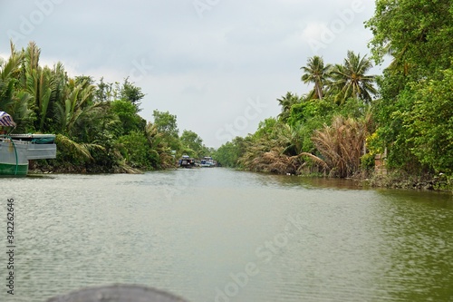 rural landscape at song hau river in vietnam
