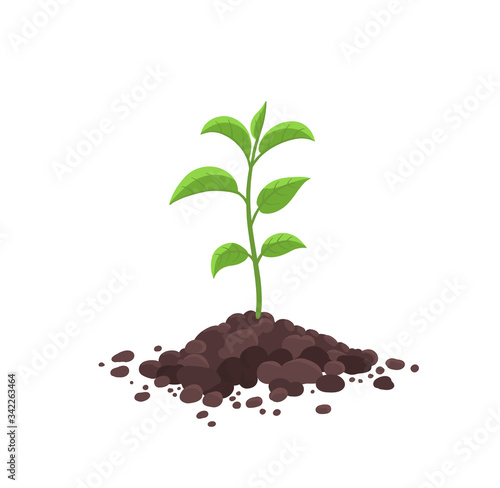 Sprout seedling shoot germination in the pile dirt soil. Young tree growing in the ground. Agricultural plant spring. Vector.