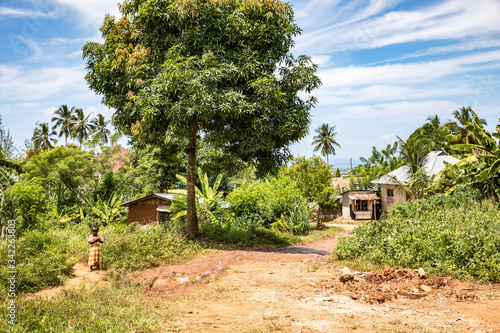 Unguja- Zanzibar Island  photo