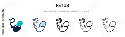Fetus icon in filled, thin line, outline and stroke style. Vector illustration of two colored and black fetus vector icons designs can be used for mobile, ui, web