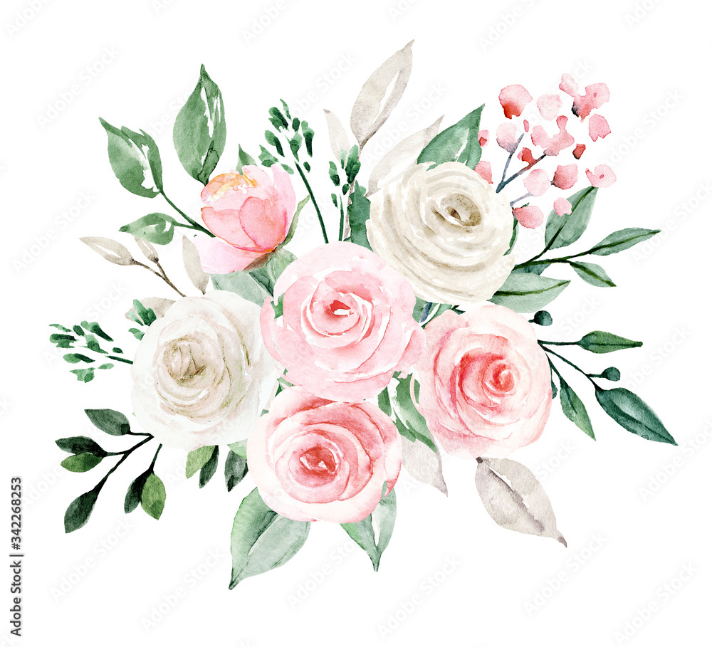 Fototapeta Flowers blush and white roses, botanical illustration, bouquet, watercolor painting isolated on white background.