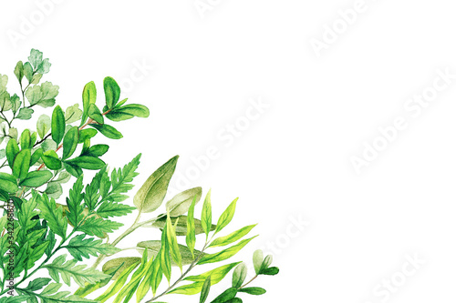 Wild herbs  leaves and ferns  bright colors  corner frame