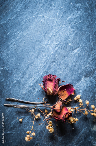 Closeup of Dry Rose Flower on Stone