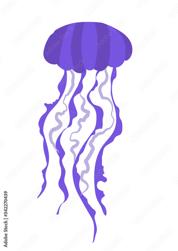 Fototapeta premium Purple midus with long flat style tentacles. Vectra clip art, sticker, nautical theme. Design underwater world and aquariums. Poisonous big jellyfish isolated on white background in cartoon style
