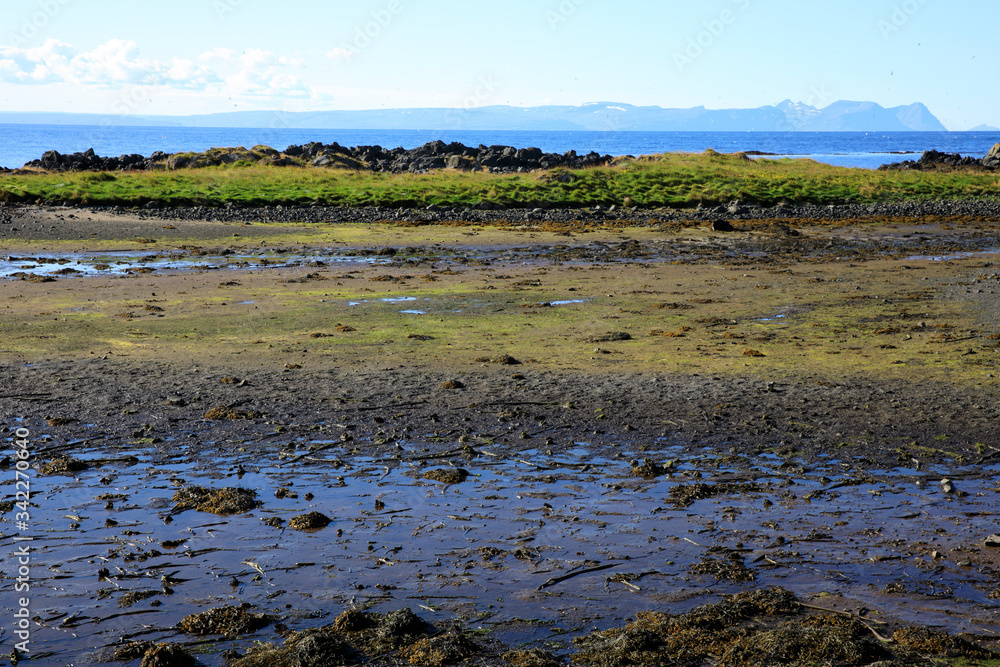 Vatnsnes / Iceland - August 27, 2017: The coast and the sea in Vatnsnes peninsula, Iceland, Europe
