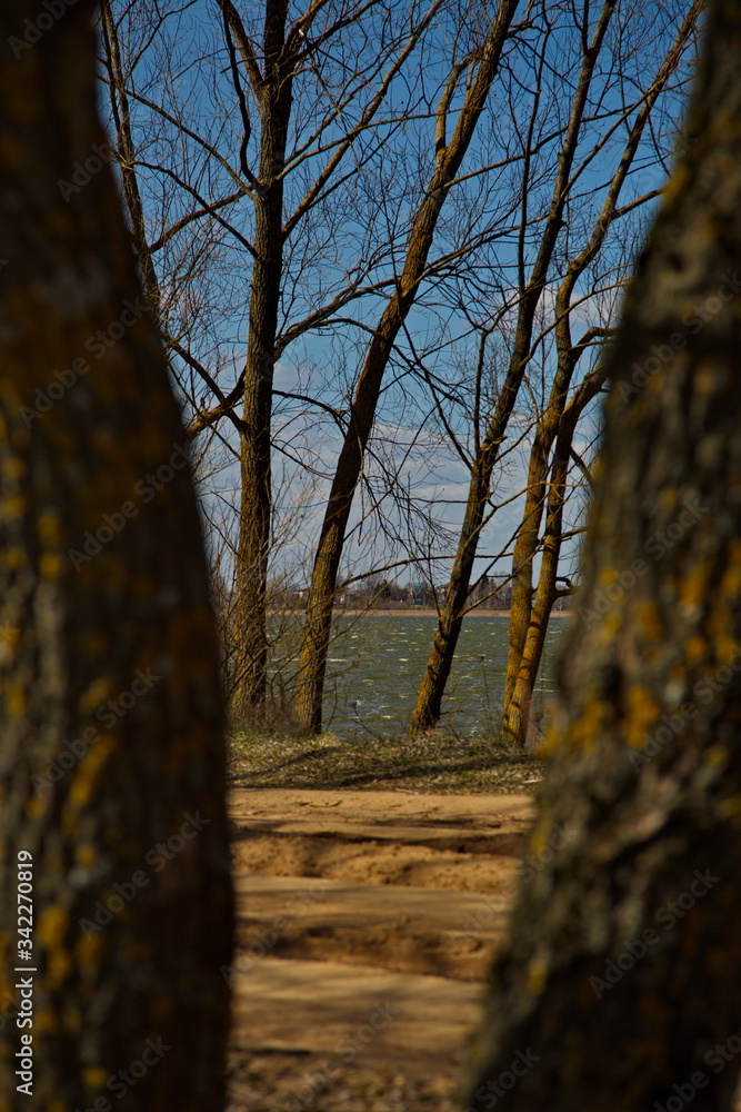 Fototapeta premium Forest lake on a windy spring day, Russia.