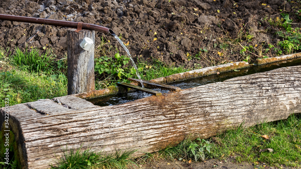 Traditional wooden trough - troughs for animals and humans, the concentration of pure water from mountain springs. Ancient peasant household technology Traditional wooden trough - troughs for animals and humans, the concentration of pure water from mountain springs. Ancient peasant household technology