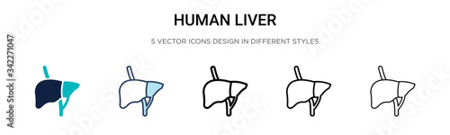 Human liver icon in filled, thin line, outline and stroke style. Vector illustration of two colored and black human liver vector icons designs can be used for mobile, ui, web