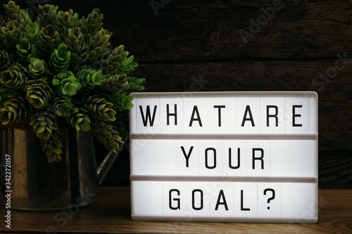 What Your Goal? word in light box