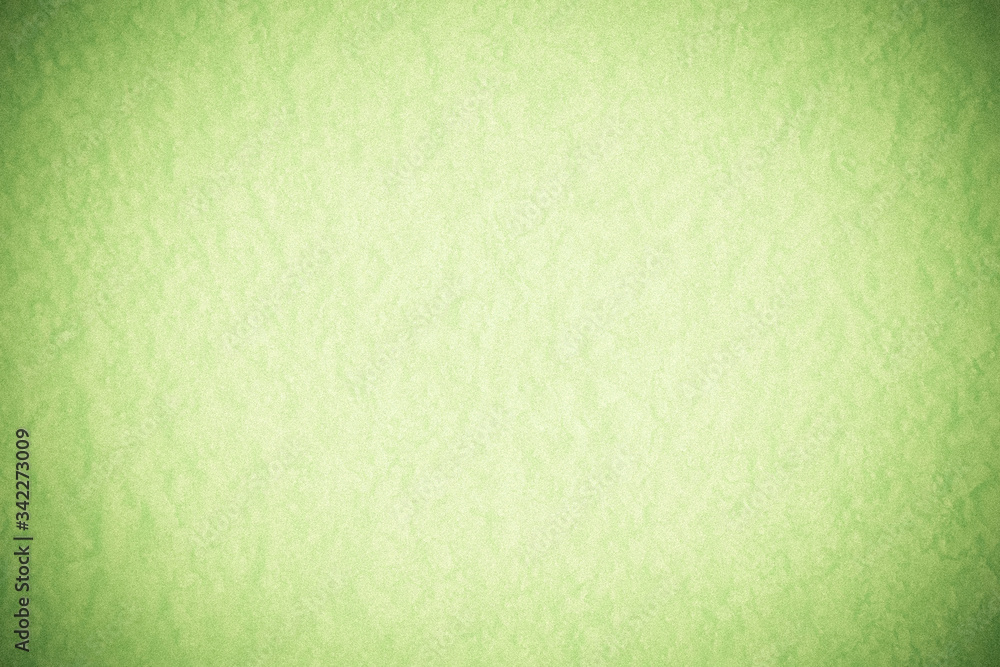 Obraz premium .Abstract grunge light green background..