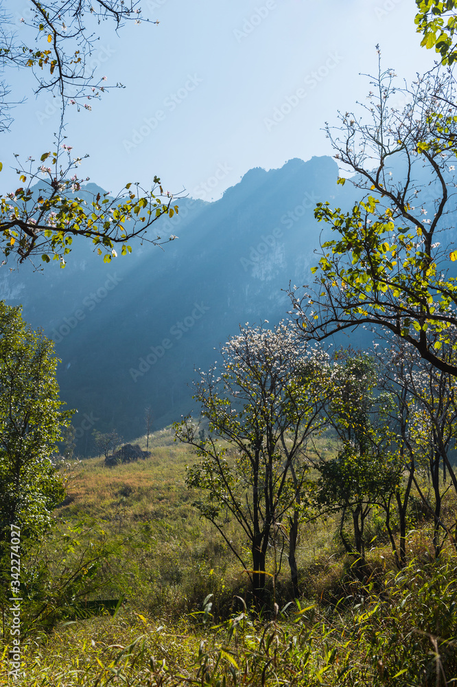 Mountain of Doi Luang Chiang Dao natural park Landscape, Chiang Mai, Thailand. Mountain of Doi Luang Chiang Dao natural park Landscape, Chiang Mai, Thailand.
