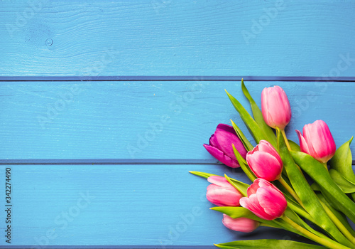 Holiday spring background. Colorful tulip flowers on blue wooden backdrop.  Greeting card with copy space for Valentine's Day, Woman's Day and Mother's Day. Top view