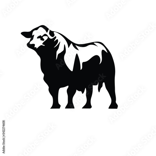 angus icon logo