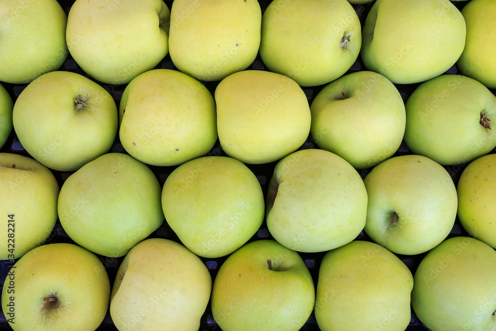 Golden apples background. Top view of yellow apples. Apple pattern texture. Golden apples background. Top view of yellow apples. Apple pattern texture.
