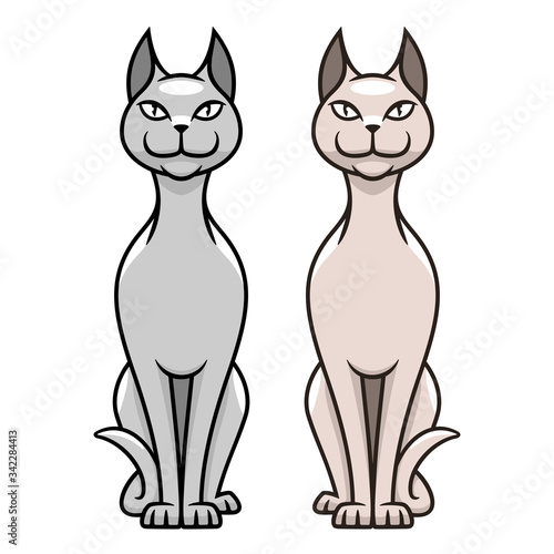 Sphynx cat hairless line art vector illustration cartoon