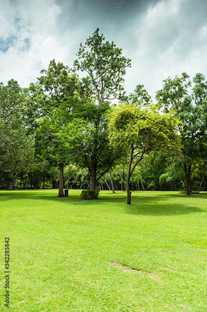 Green of Garden Landscape With Cloudy sky Green of Garden Landscape With Cloudy sky
