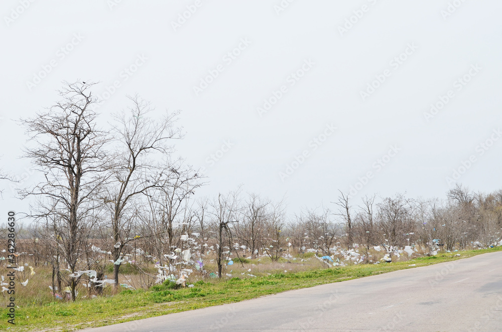 Environmental pollution, trees full of packages , Ukraine Environmental pollution, trees full of packages , Ukraine