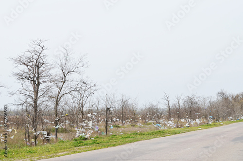 Environmental pollution, trees full of  packages , Ukraine