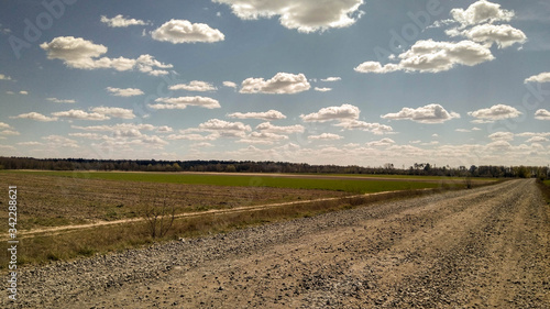 field of wheat and blue sky