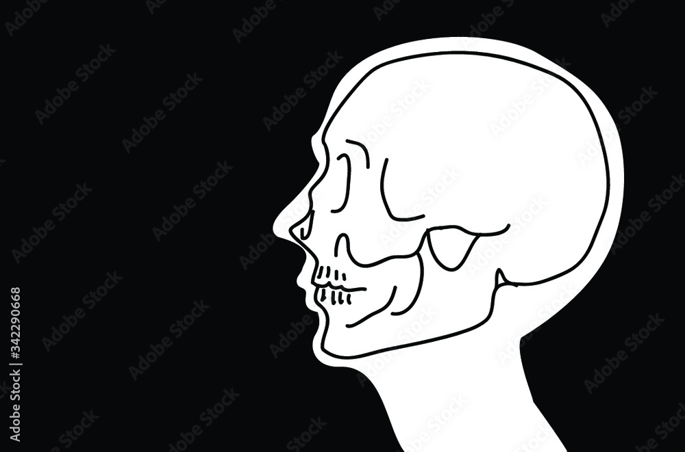 head x-ray skeleton skull side face anatomy person silhouette on black background