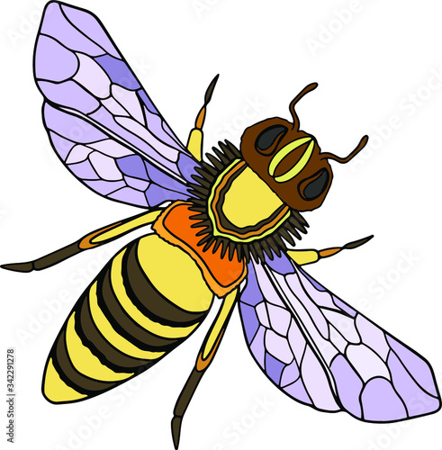 Decorative trendy cute bee. Hand drawn vector illustration of geometric ornamental colorful wasp. Isolated on white background. Dood and Zen, meditation, relaxation. Outline. Insect doodle. Cartoon