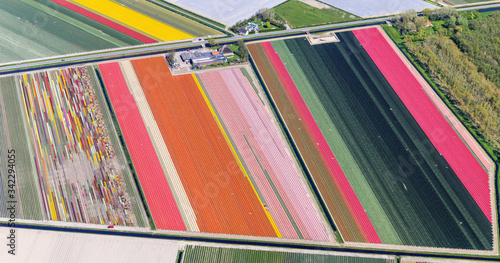 Flower bulb field Holland aerial view
