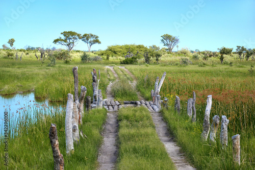 Tableau sur toile Okavango Delta, road for off-road car in wild Moremi Game Reserve, Botswana, Afr