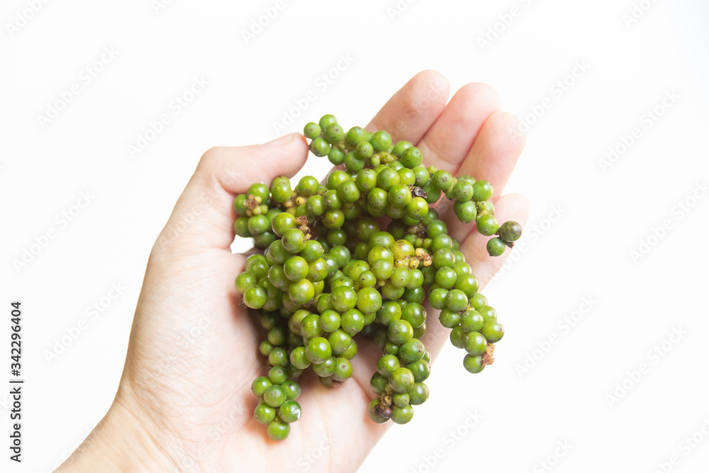 Fresh green peppercorns on hand isolated on white background Fresh green peppercorns on hand isolated on white background