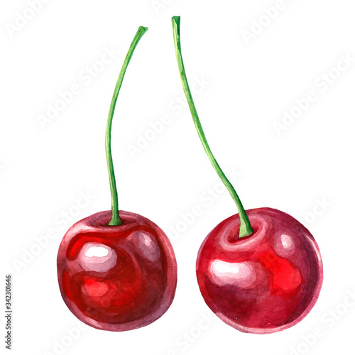 Illustration of two cherries