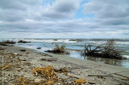 Trunks ashore