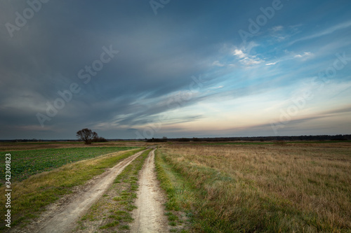 A dirt road through meadows and farmlands and clouds in the evening sky